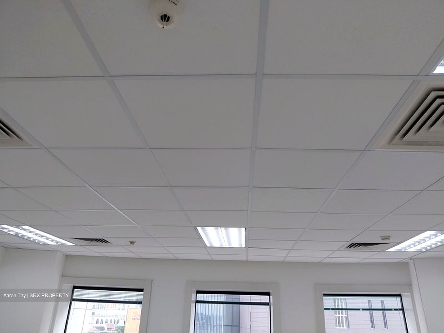 Goldhill Plaza (D11), Office #555023581